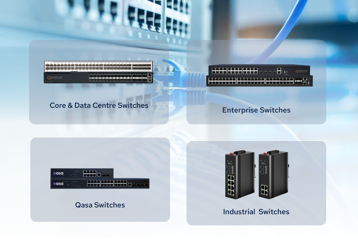 Upgrade to a Gigabit Switch | Quantum Networks